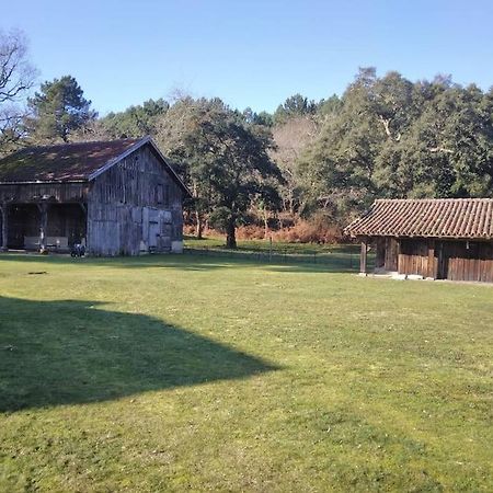 Le Petit Frouas Sud Vielle-Saint-Girons Exterior foto