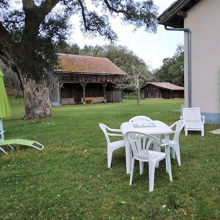 Le Petit Frouas Sud Vielle-Saint-Girons Exterior foto