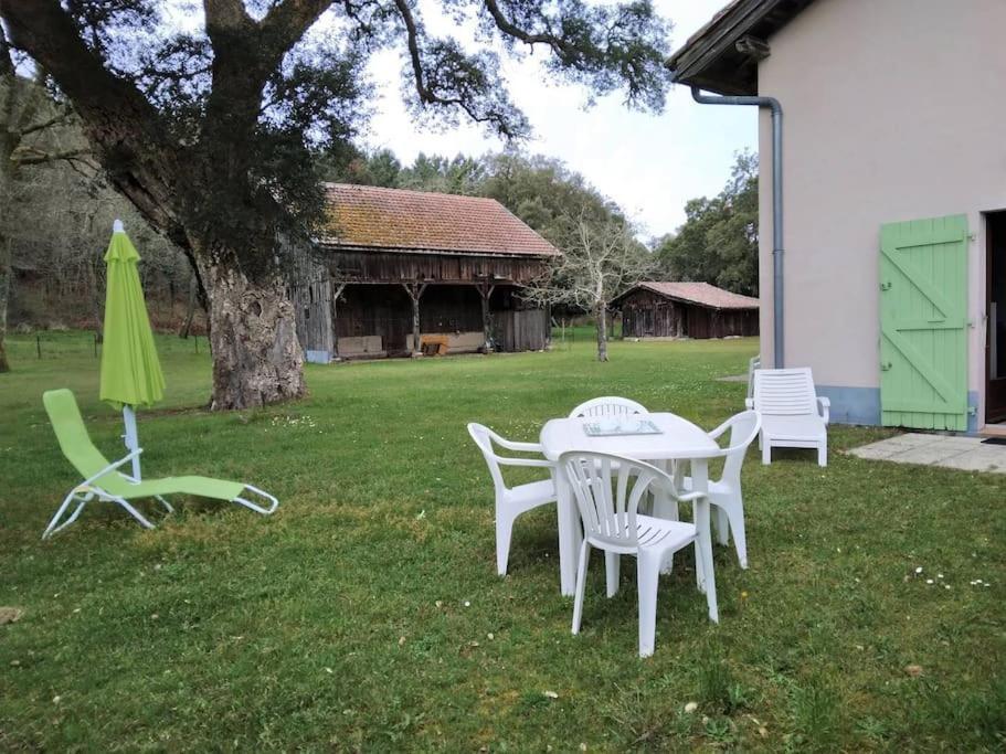 Le Petit Frouas Sud Vielle-Saint-Girons Exterior foto